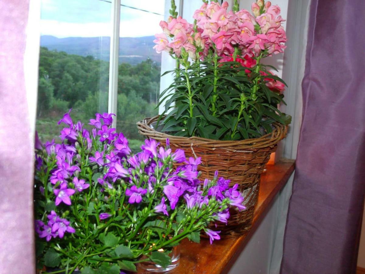 Tranquil Apartment Near Kenmare Lamanagh Exterior foto